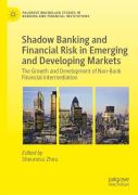 Shadow Banking And Financial Risk In Emerging And Developing Markets