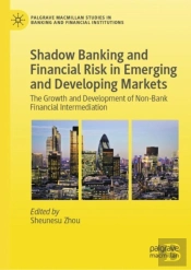 Shadow Banking And Financial Risk In Emerging And Developing Markets
