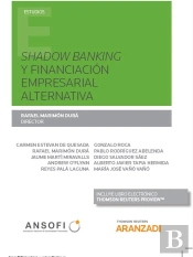 Shadow Banking Y Financiación Empresarial Alternativa (Papel + E-Book)