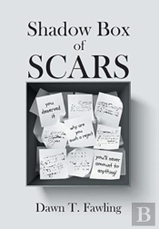 Shadow Box Of Scars