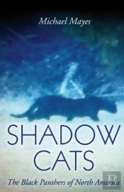 Shadow Cats