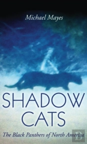 Shadow Cats