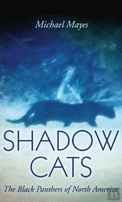 Bertrand.pt - Shadow Cats