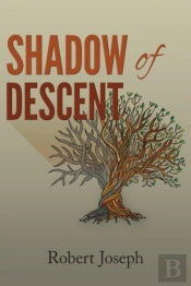 Shadow Of Descent