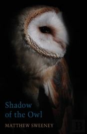Shadow Of The Owl