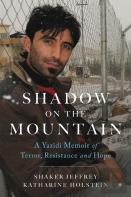 Shadow On The Mountain