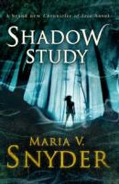 Shadow Study