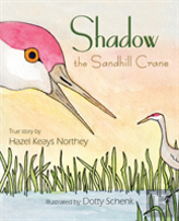 Shadow The Sandhill Crane