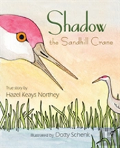 Shadow The Sandhill Crane