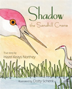 Bertrand.pt - Shadow The Sandhill Crane
