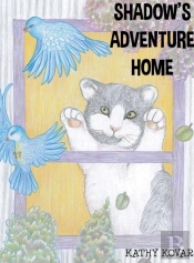 Shadow'S Adventure Home