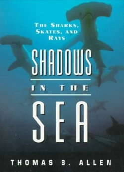Bertrand.pt - Shadows In The Sea