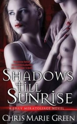 Bertrand.pt - Shadows Till Sunrise