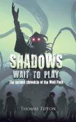 Shadows Wait To Play