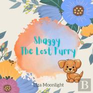 Shaggy The Lost Furry