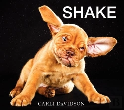 Bertrand.pt - Shake