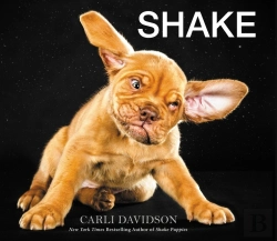 Bertrand.pt - Shake