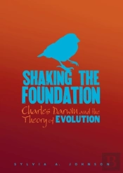 Shaking The Foundation