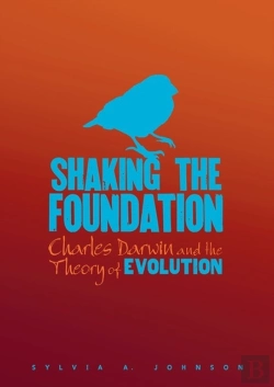 Bertrand.pt - Shaking The Foundation
