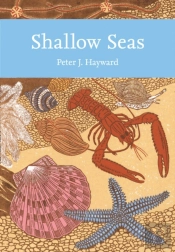 Shallow Seas