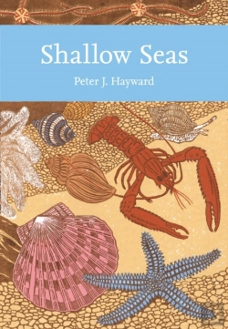Bertrand.pt - Shallow Seas