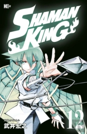 Shaman King Omnibus 7 (Vol. 19-21)