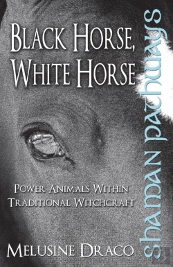 Bertrand.pt - Shaman Pathways - Black Horse, White Horse