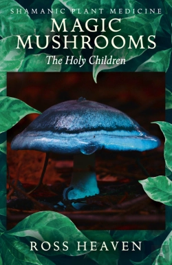 Bertrand.pt - Shamanic Plant Medicine - Magic Mushrooms
