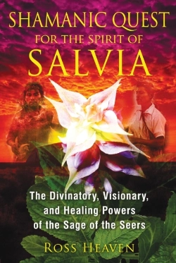 Bertrand.pt - Shamanic Quest For The Spirit Of Salvia
