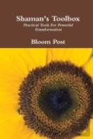 Shaman'S Toolbox: Practical Tools For Powerful Transformation