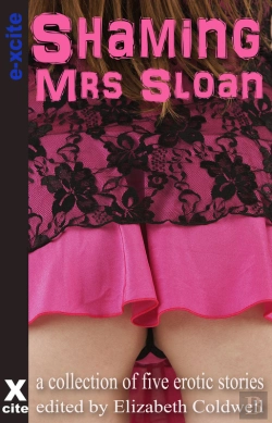 Bertrand.pt - Shaming Mrs Sloan