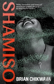 Shamiso