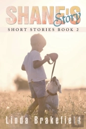 Shane'S Story: Short Stories Book 2