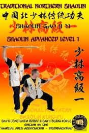 Shaolin Advanced Level 1