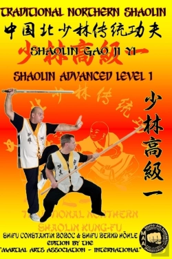 Bertrand.pt - Shaolin Advanced Level 1