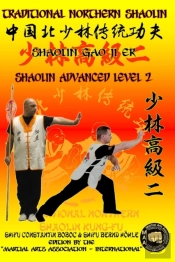 Shaolin Advanced Level 2