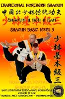 Shaolin Basic Level 3