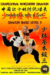 Shaolin Basic Level 3