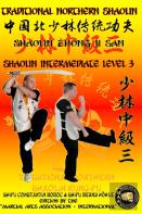 Shaolin Intermediate Level 3