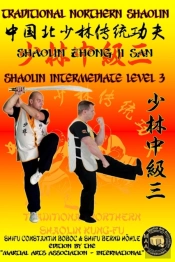Shaolin Intermediate Level 3