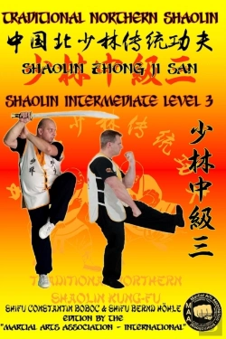 Bertrand.pt - Shaolin Intermediate Level 3