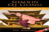 Shaolin Qi Gong