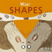 Shapes