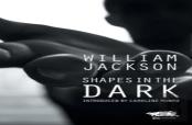 Shapes In The Dark