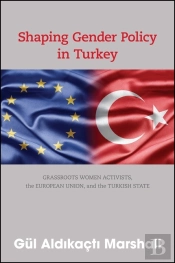 Shaping Gender Policy In Turkey