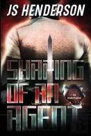 Shaping Of An Agent