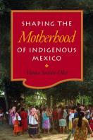 Shaping The Motherhood Of Indigenous Mexico