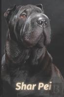 Shar Pei