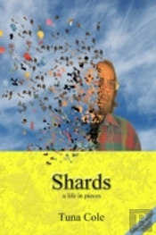 Shards A Life In Pieces