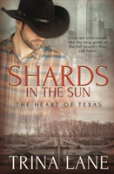 Shards In The Sun